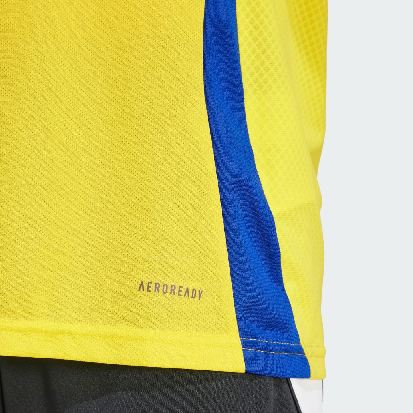 Al-Nassr Domicile 24/25