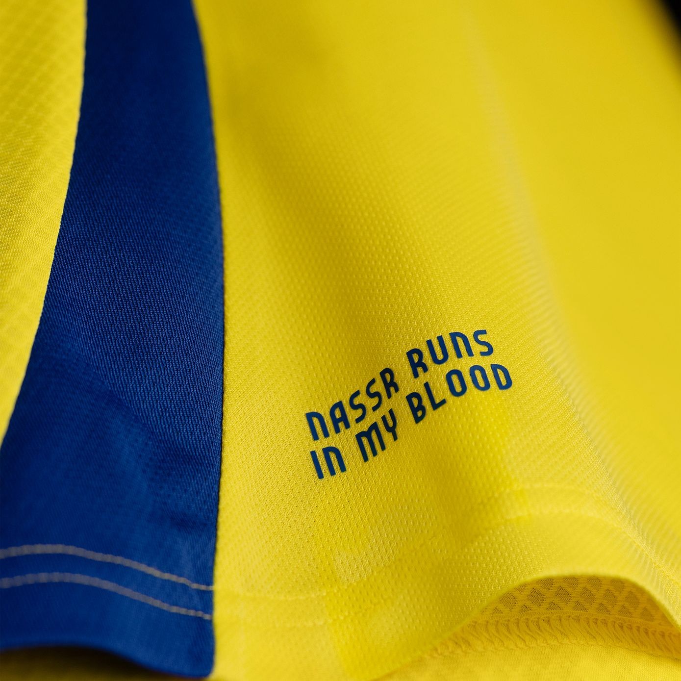Al-Nassr Domicile 24/25