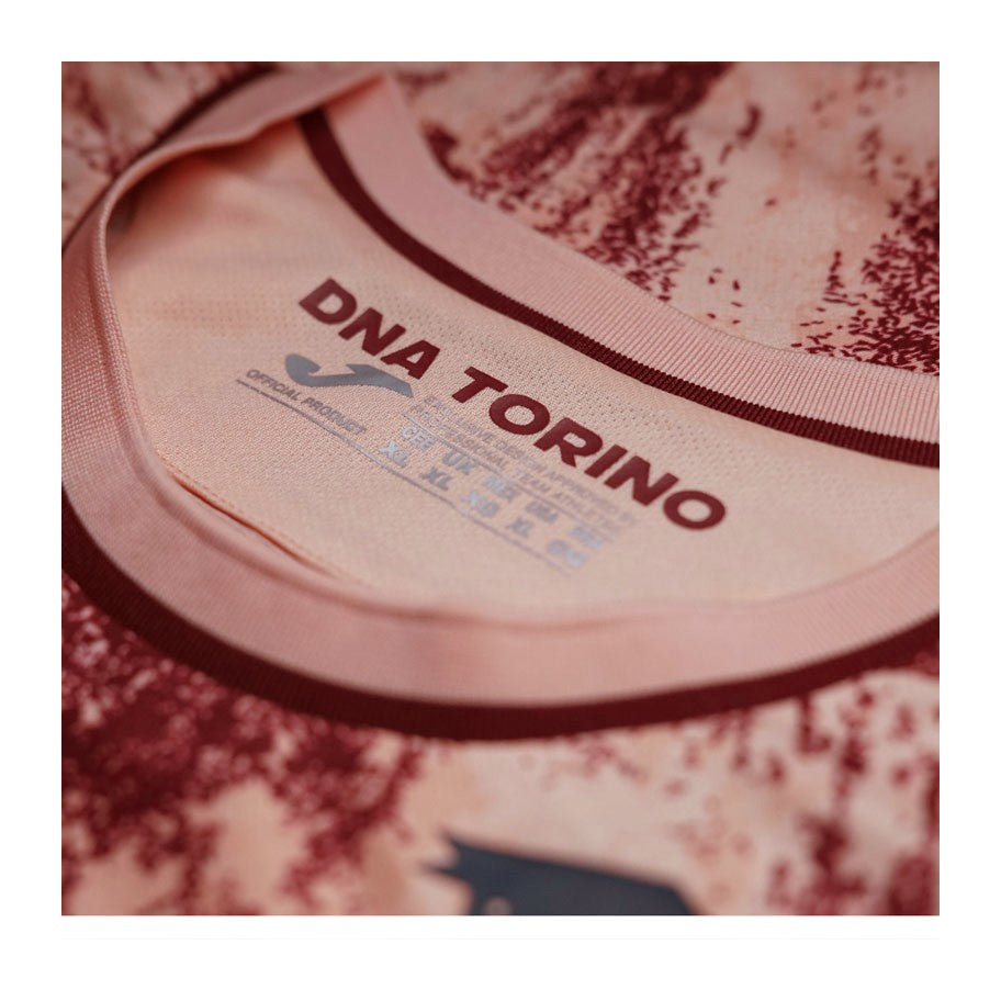 Torino Third 24/25