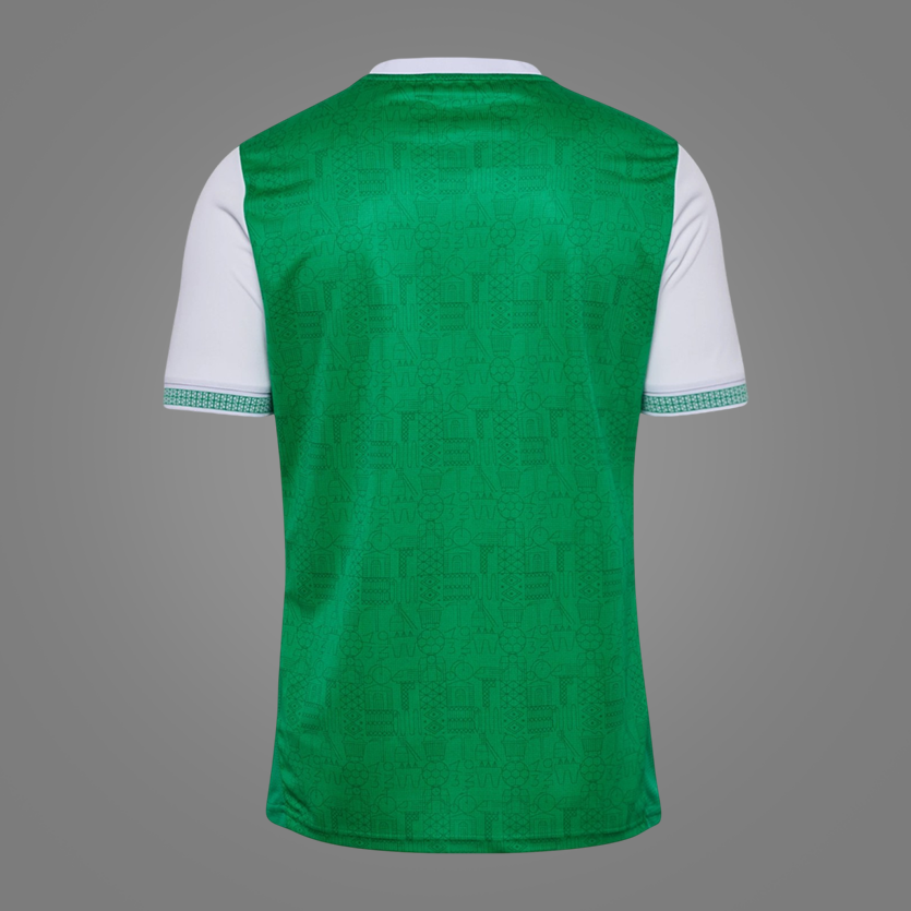 AS Saint-Étienne Home 24/25
