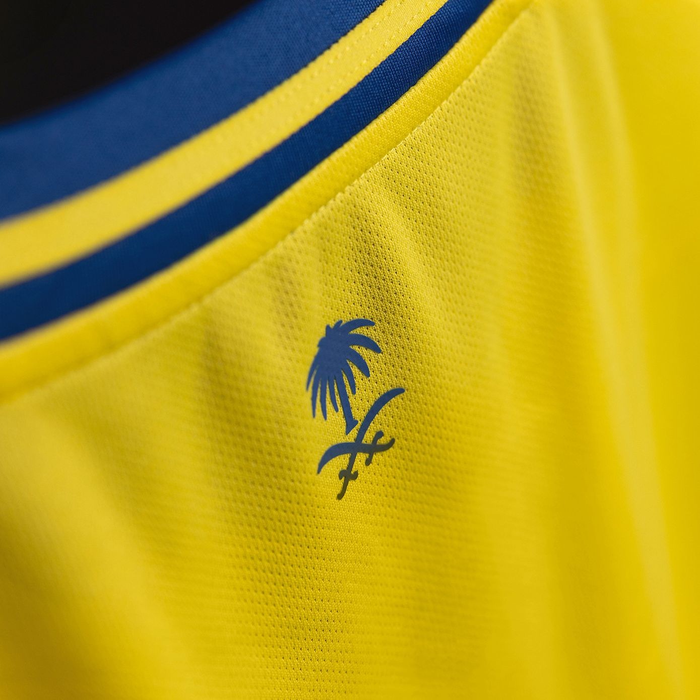 Al-Nassr Domicile 24/25