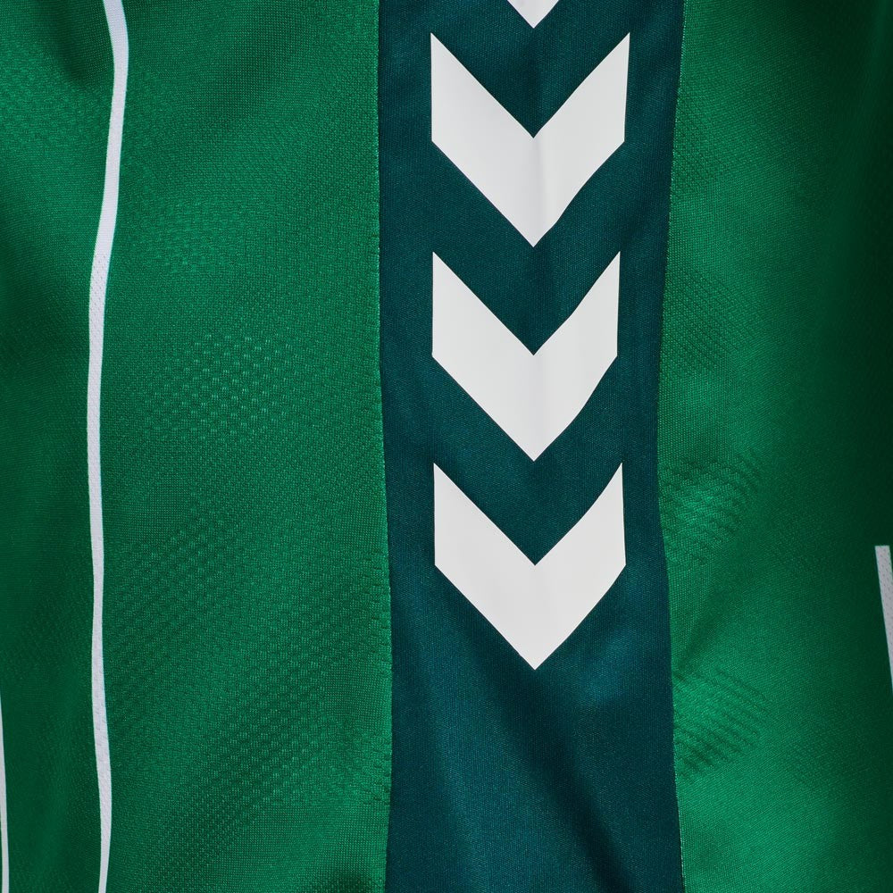 Werder Brême Domicile 25/26