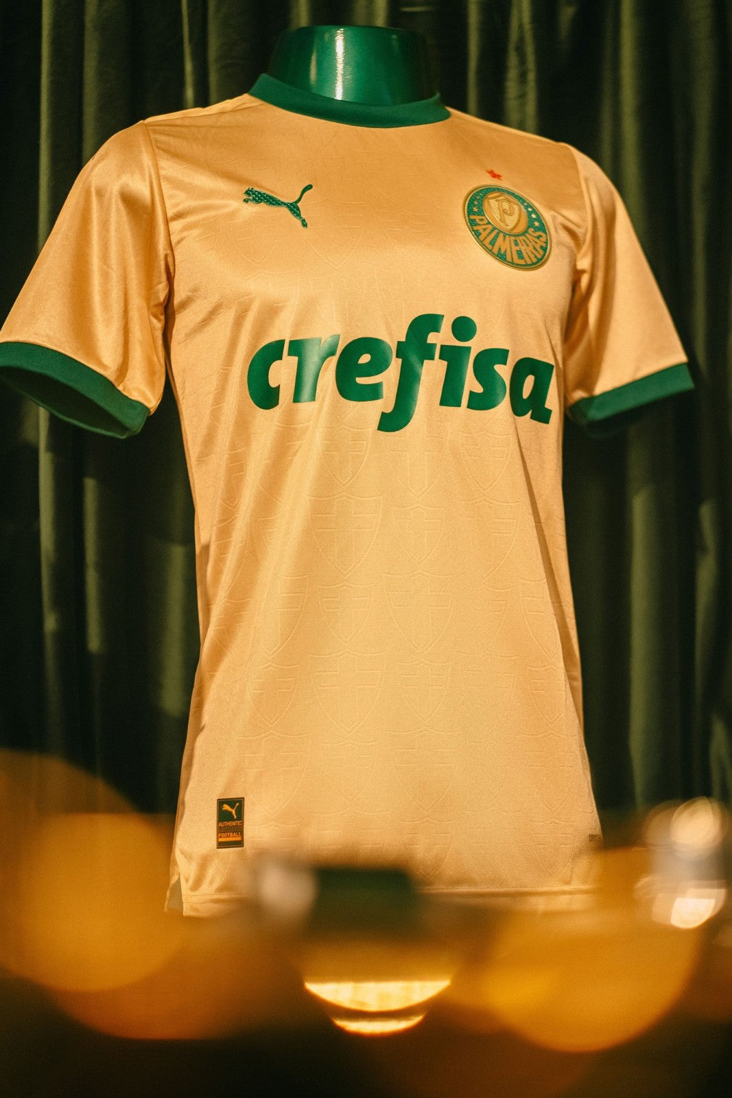 Palmeiras Third 2024