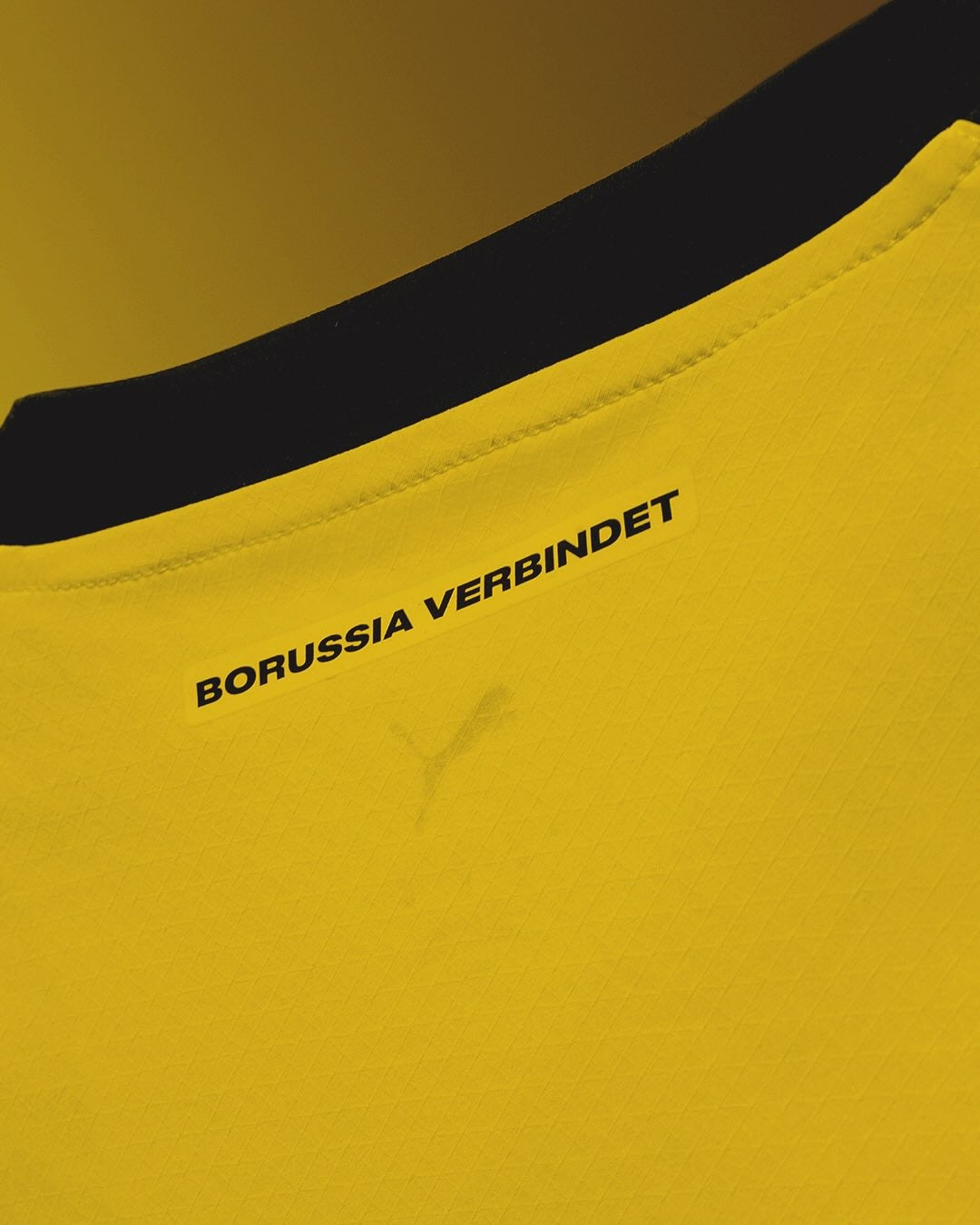 Borussia Dortmund Local 24/25