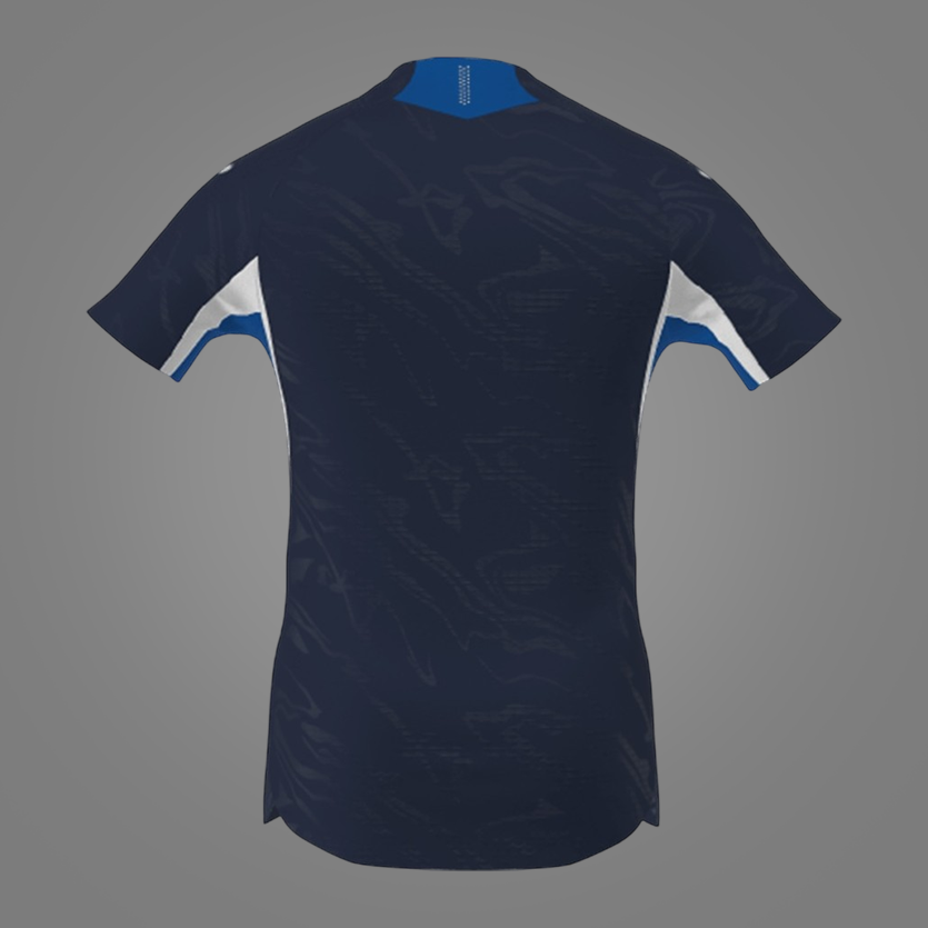 Hoffenheim Domicile 25/26