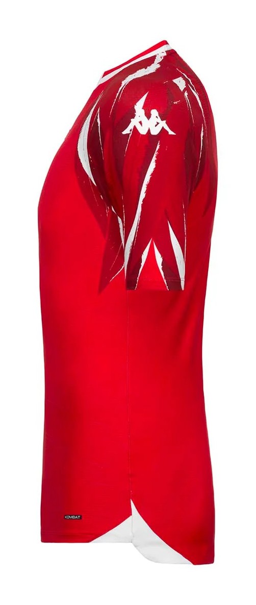 Maillot Tunisie Extérieur 2026 - détail 1