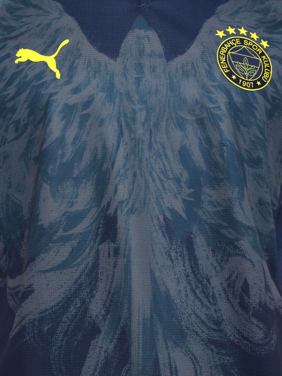 Fenerbahçe SK Fourth 24/25