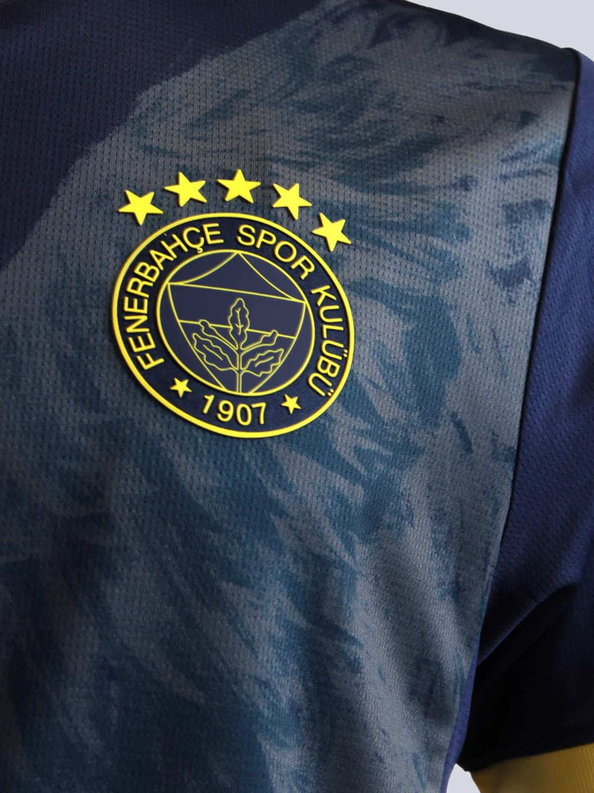 Fenerbahçe SK Fourth 24/25