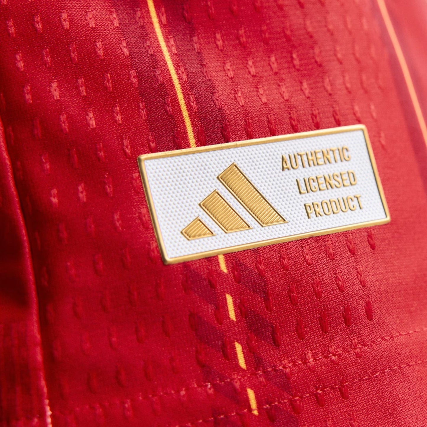 Espagne Domicile 2026