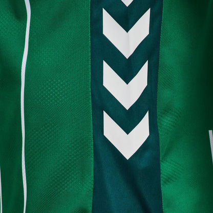 Werder Brême Domicile 25/26
