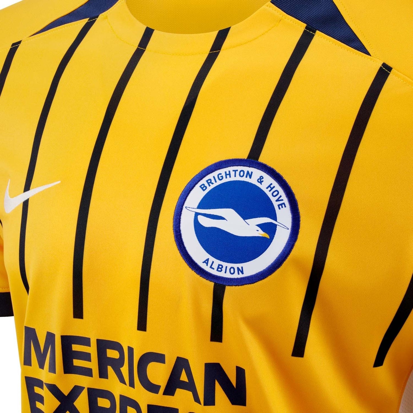Brighton & Hove Albion Third 25/26