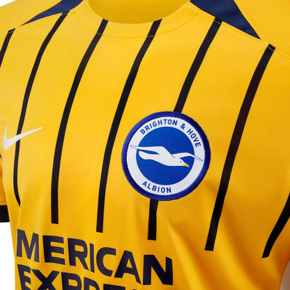 Brighton & Hove Albion Third 25/26