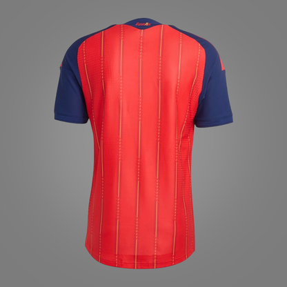 Espagne Domicile 2026