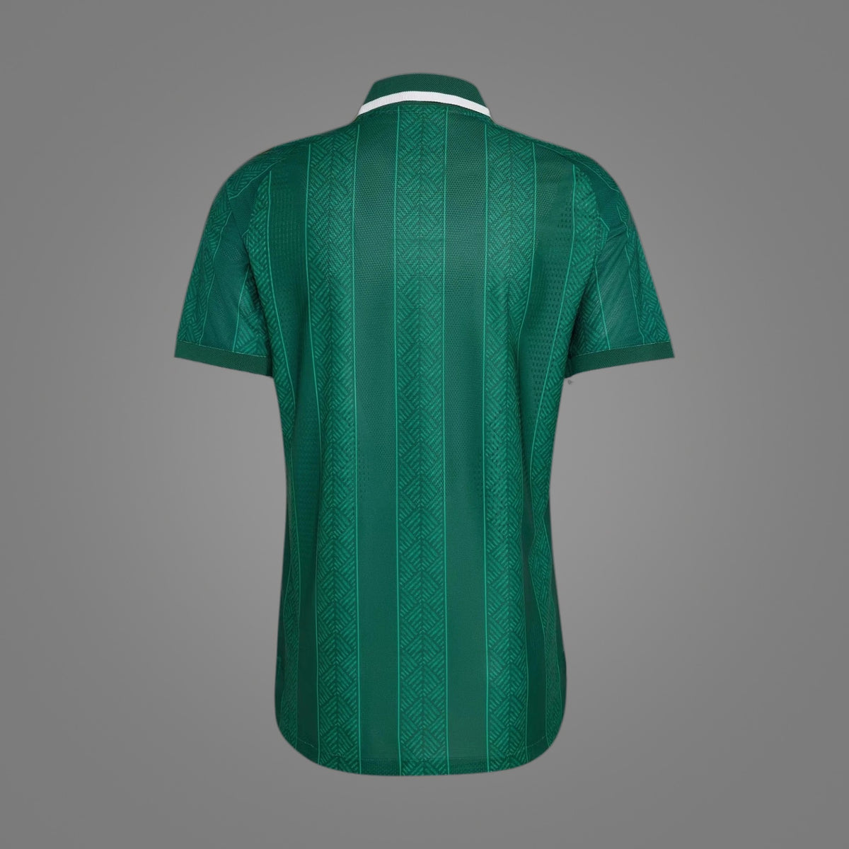 Maillot Afrique du Sud Extérieur 2026 - dos
