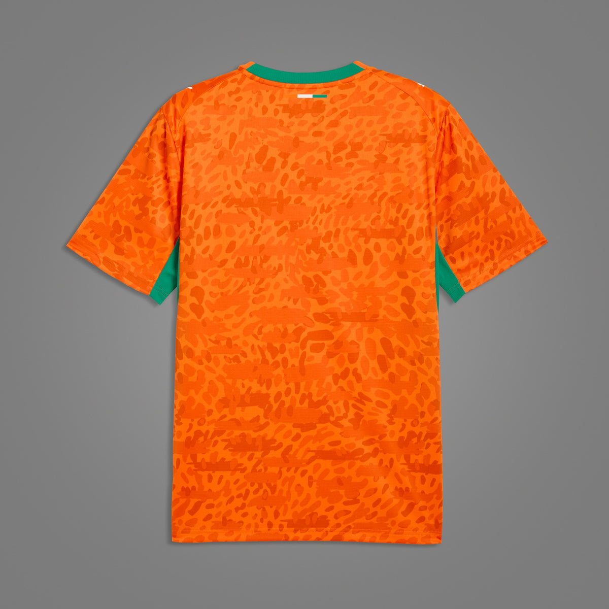 Maillot Côte d'Ivoire Domicile 2026 - dos
