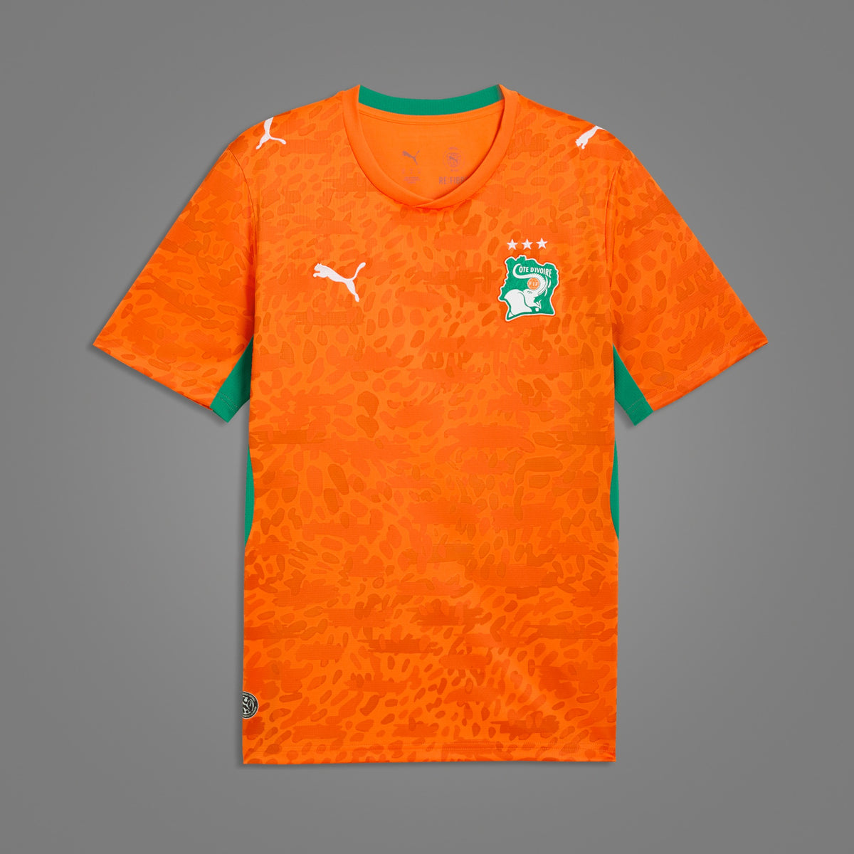 Maillot Côte d'Ivoire Domicile 2026 - face avant