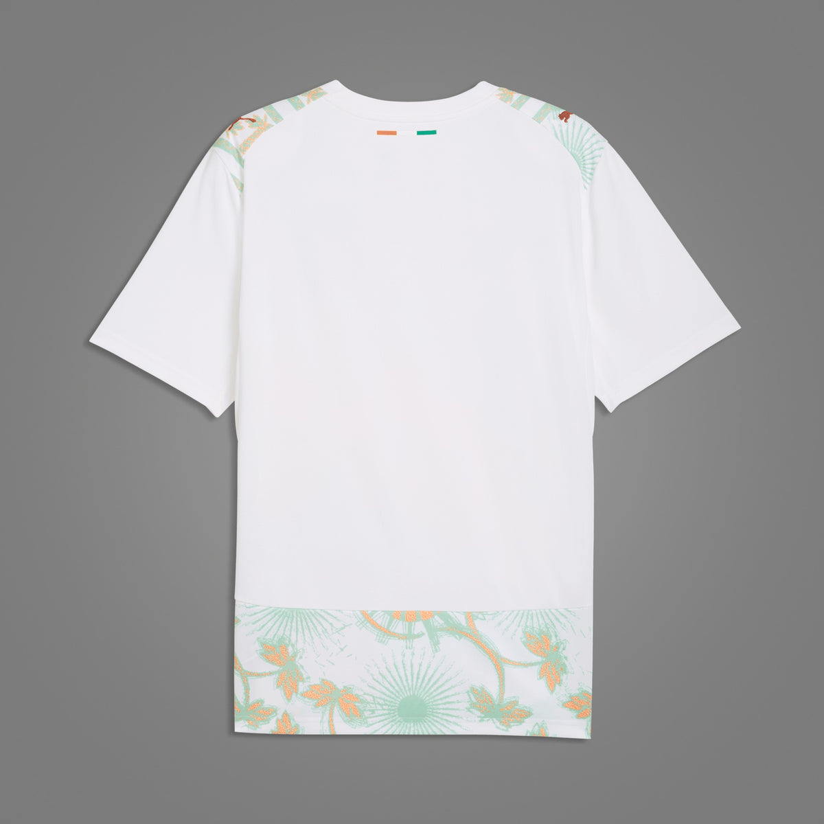 Maillot Côte d'Ivoire Extérieur 2026 - dos