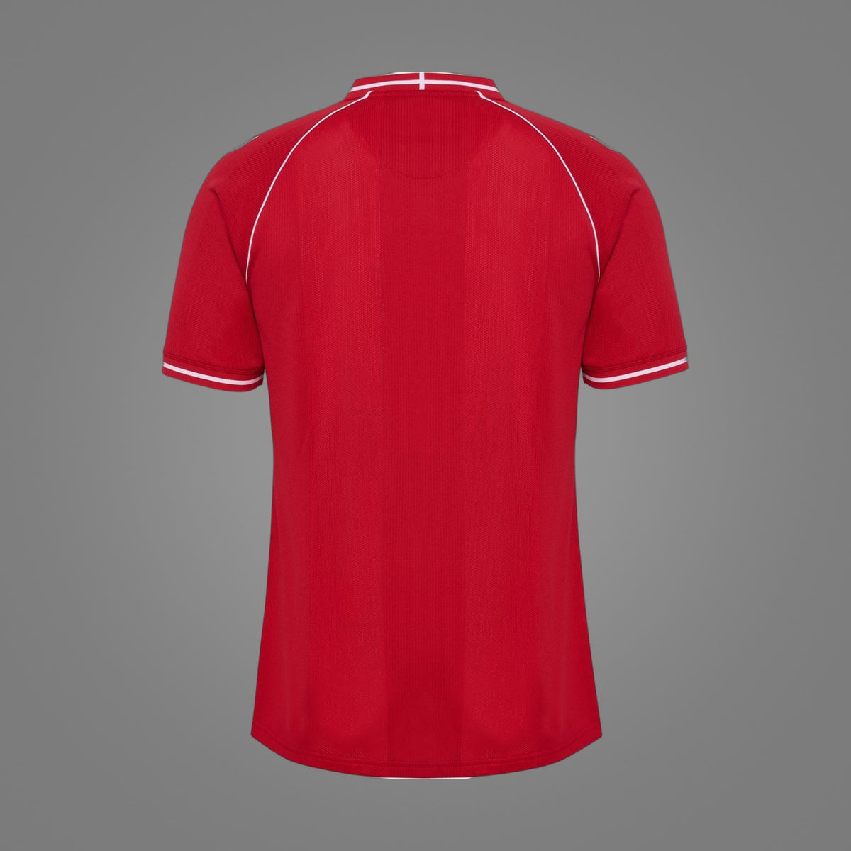 Maillot Danemark Domicile 2026 - dos
