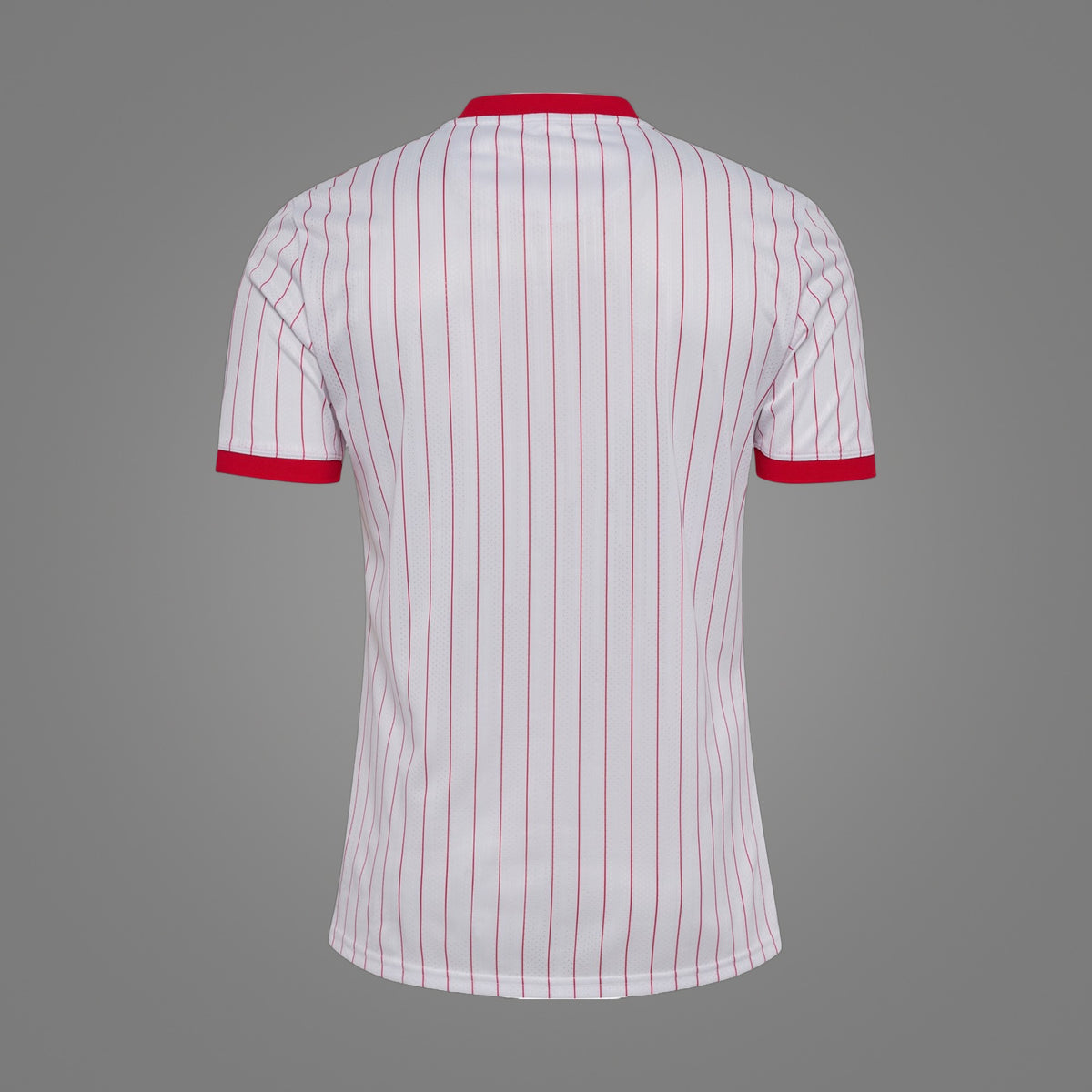 Maillot Danemark Extérieur 2026 - dos