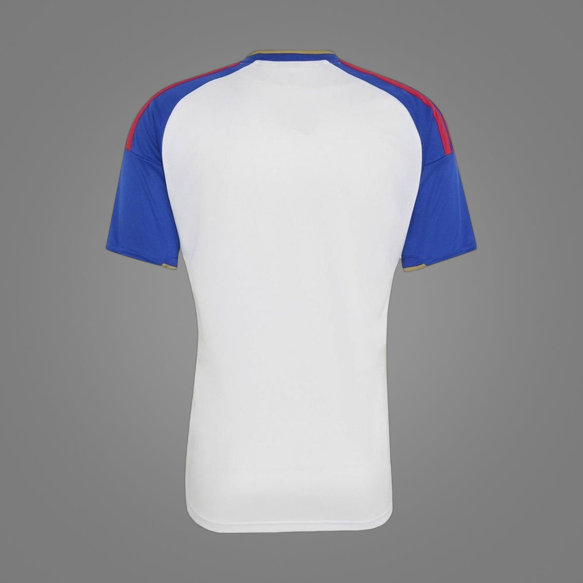 Maillot Olympique Lyonnais Domicile 26/27 - dos