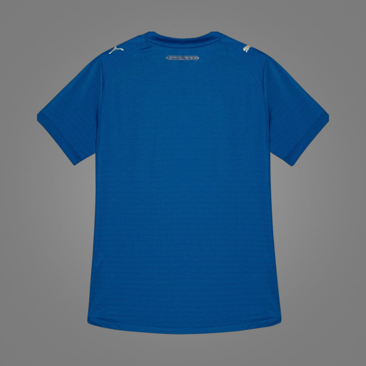 Maillot Palmeiras Third 2026 - dos