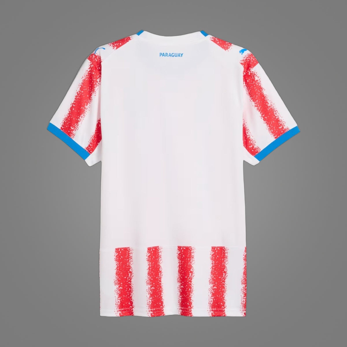 Maillot Paraguay Domicile 2026 - dos