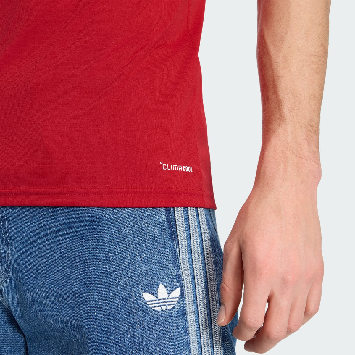 Maillot Pays de Galles Domicile 2026 - détail 2