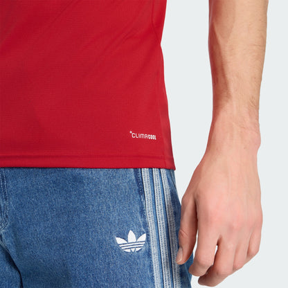 Maillot Pays de Galles Domicile 2026 - détail 2