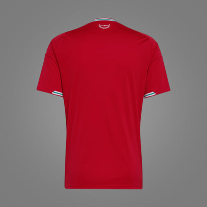 Maillot Pays de Galles Domicile 2026 - dos