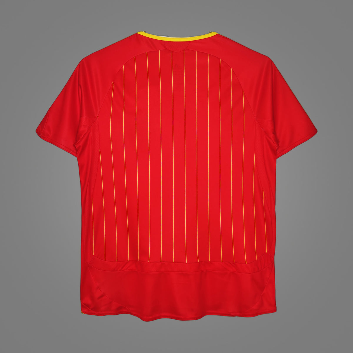 Maillot rétro Espagne Domicile 2006 - dos