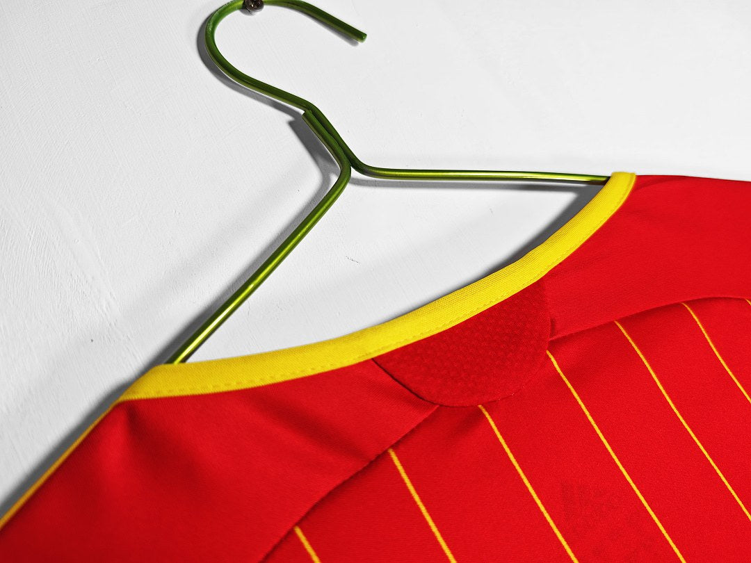 Maillot rétro Espagne Domicile 2006 - détail 1