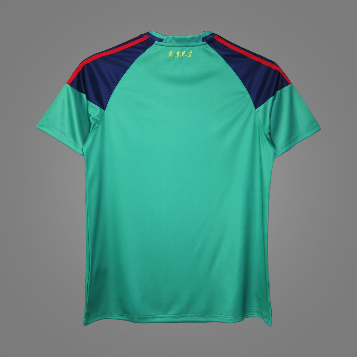 Maillot rétro Espagne Gardien vert 2010 - dos
