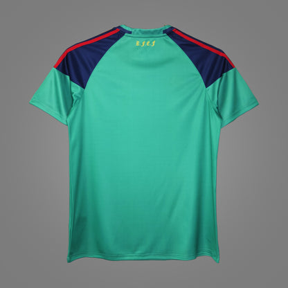 Maillot rétro Espagne Gardien vert 2010 - dos