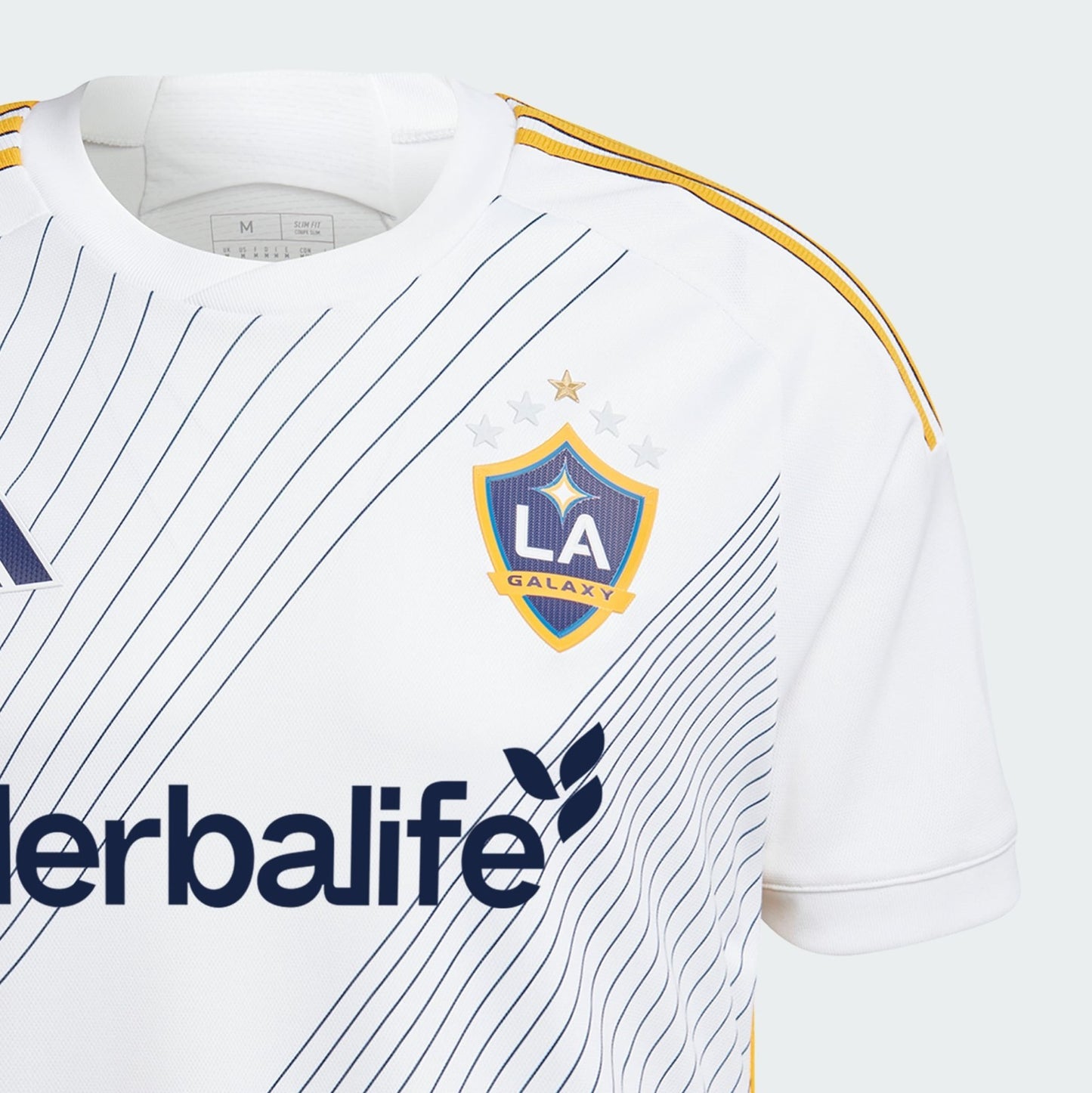 LA Galaxy Domicile 2025